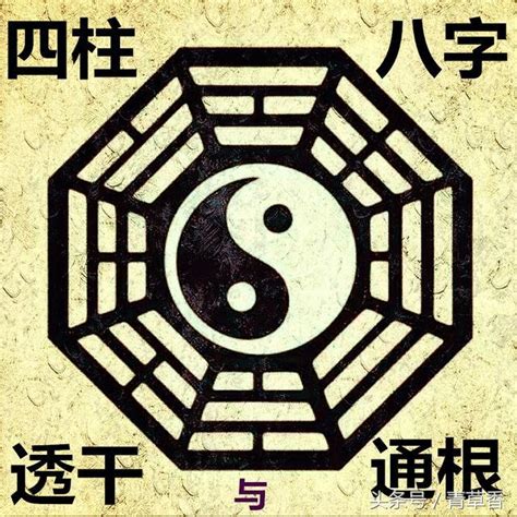 八字 根|四柱八字中的根及其意义